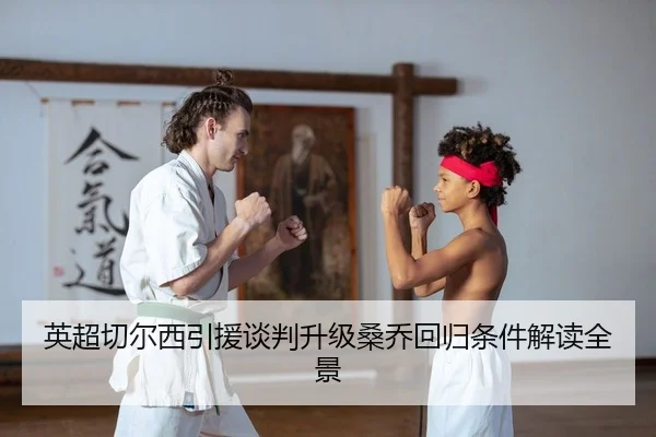 ying-chao-qie-er-xi-yin-yuan-tan-pan-sheng-ji-sang-qiao-hui-gui-tiao-jian-jie-du-quan-jing-2-880.jpg